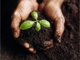 Cultivating Responsibility